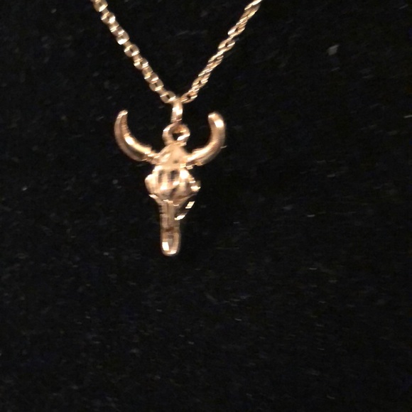 - Western Skull Necklace/Pendant - Picture 3 of 7